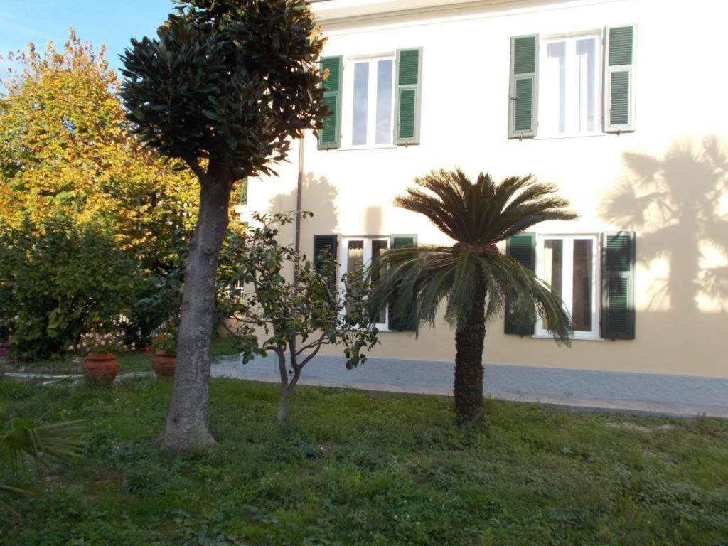 B&B Rossana Carrara Exterior foto